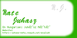 mate juhasz business card